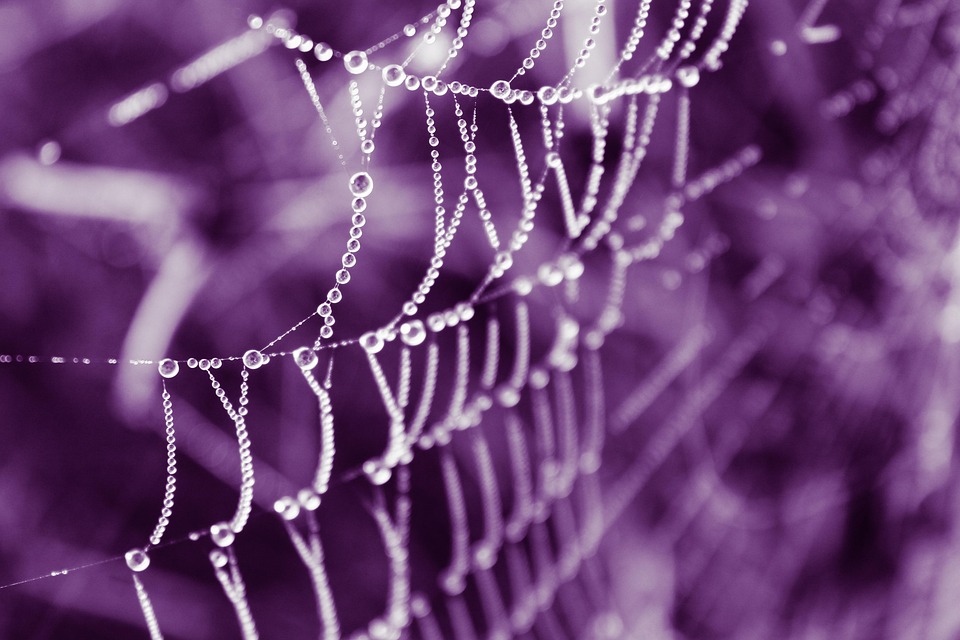 The Impact of Web Hosting on SEO Rankings