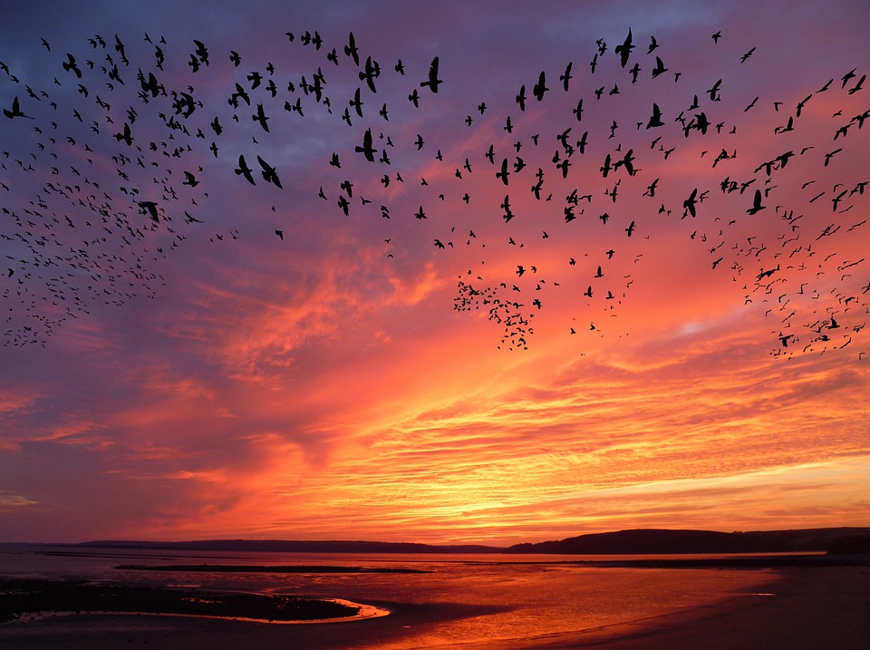 Maximizing Performance: How Hosting Migration Can Boost Your Website’s Speed and Reliability