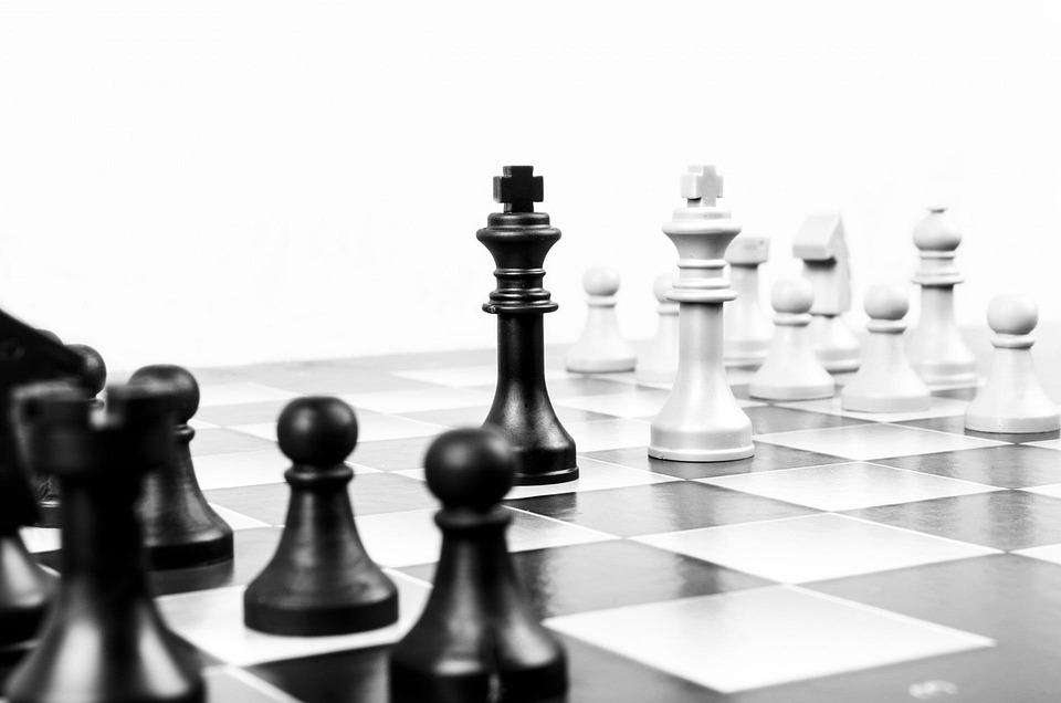 From Coding to Career Success: Future-Proofing Your Path as a Developer