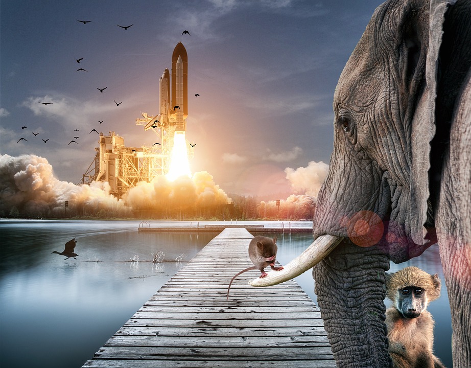 Beyond Human Imagination: The Impact of AI on Storytelling