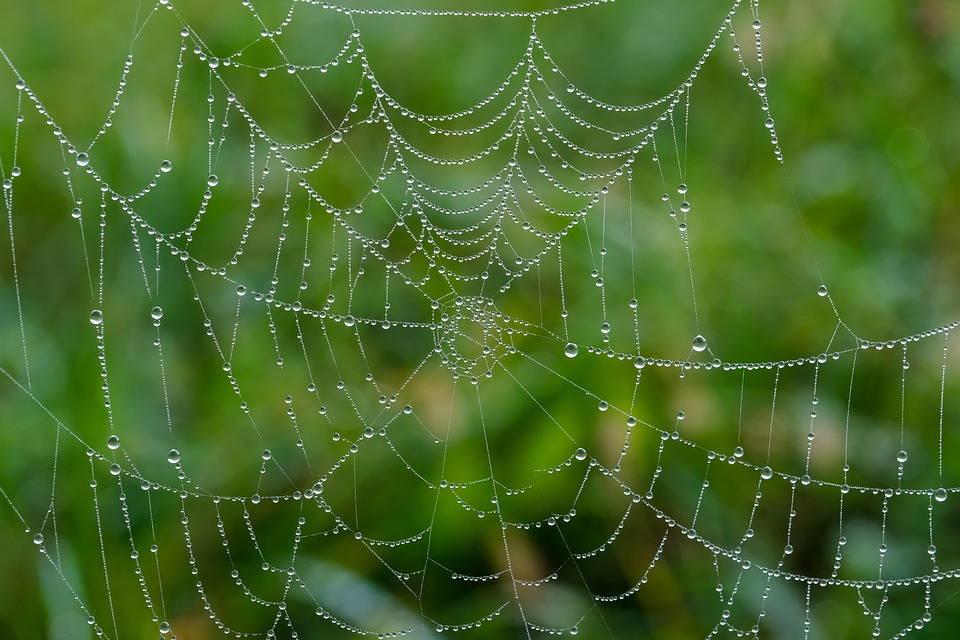 The Evolution of Web Development: How AI is Shaping the Future