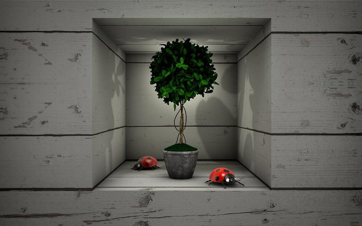 The Future of Online Content: How AI is Driving Success for Niche Websites