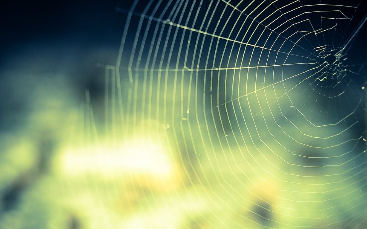  Web Hosting