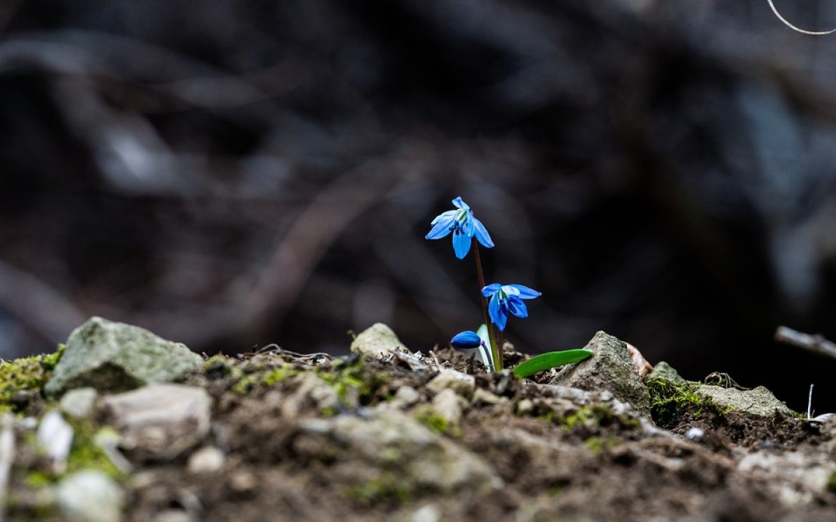 Unlocking the Potential of AI for Sustainable Business Growth