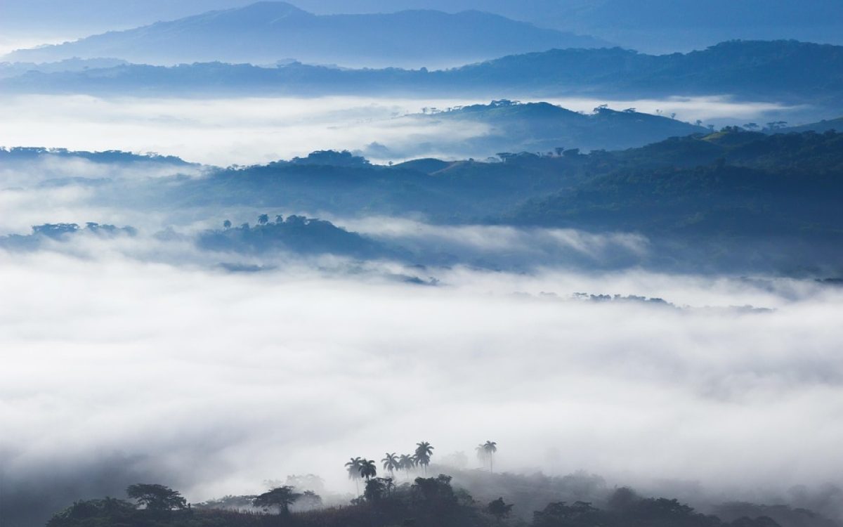 The Top Advantages of Using Cloud Hosting for Your Website