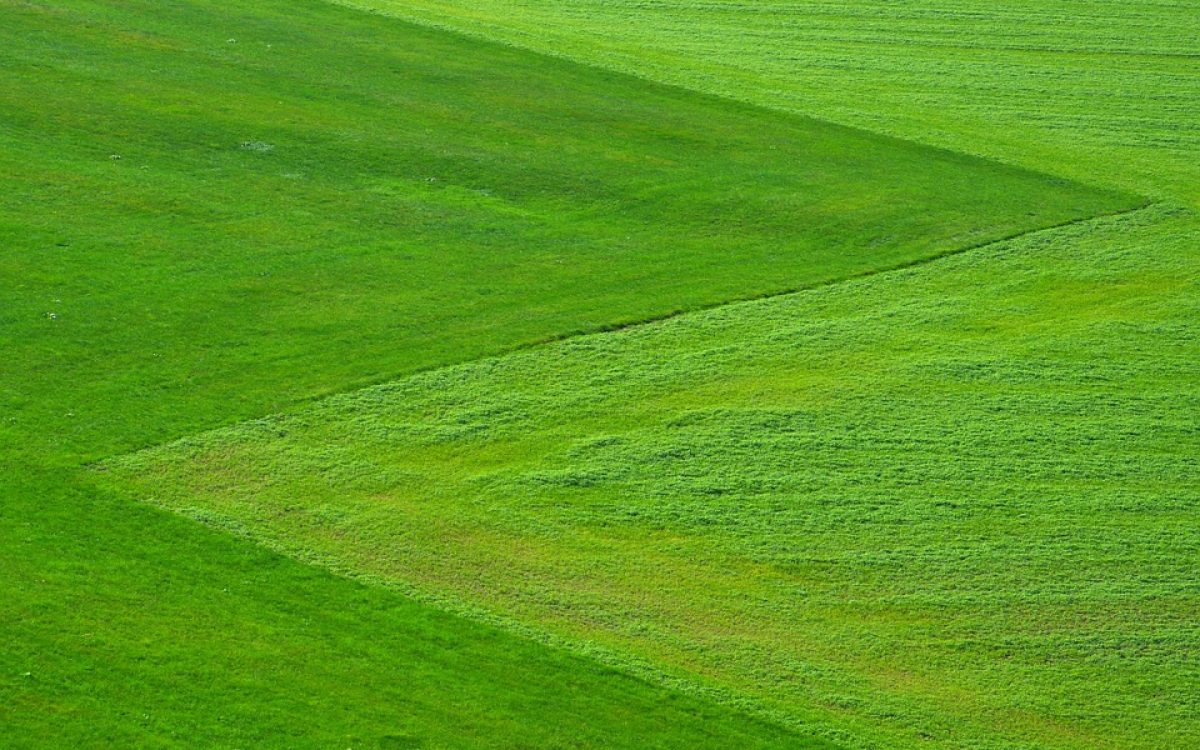  Green Hosting