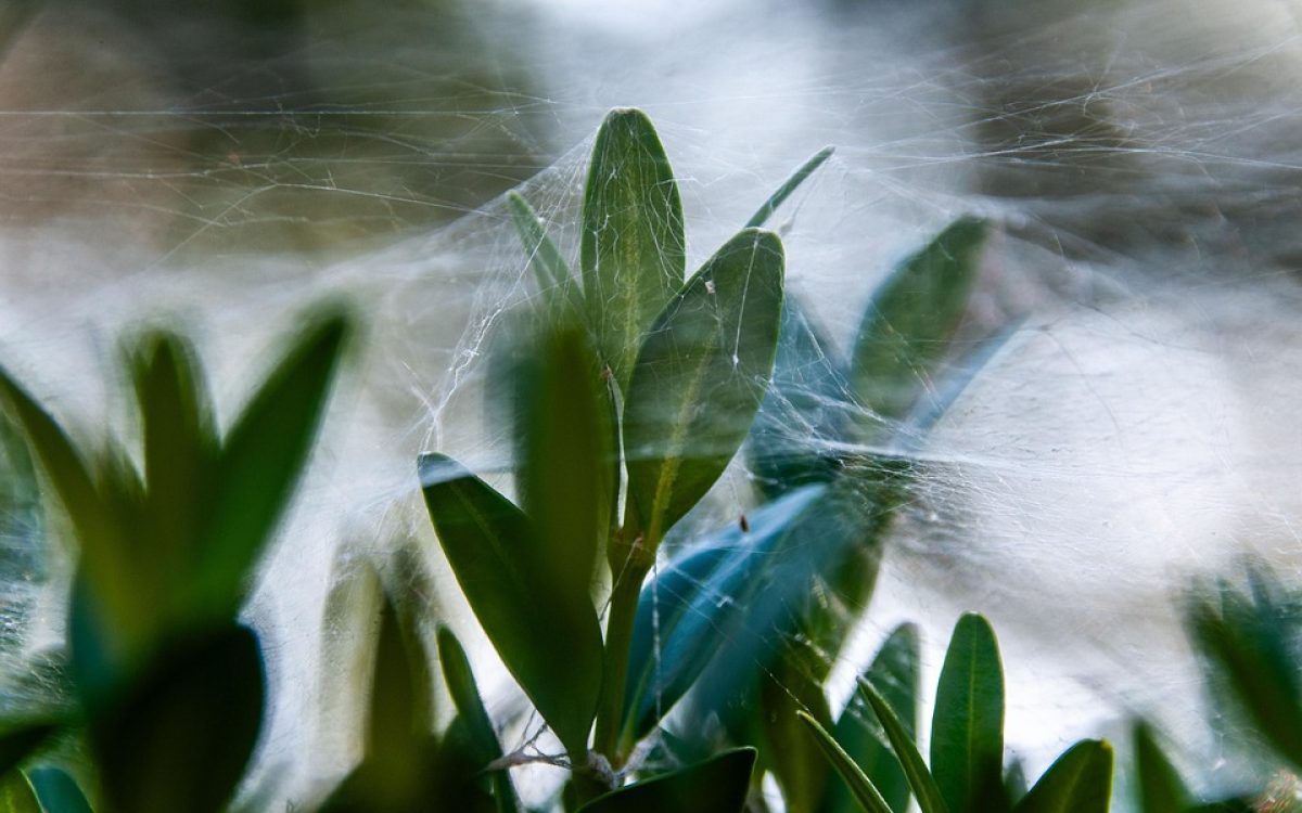How Liquid Web Hosting Stacks Up Against the Competition